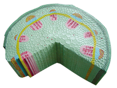 SD-087 33005�p���~�ݱ�ֲ���oģ��