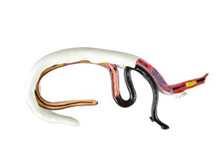 SD-092 33105Ѫ���x(ch��ng)ģ��