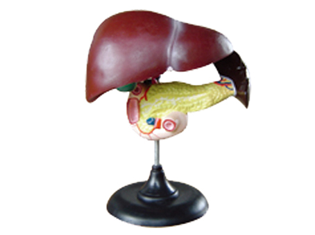 SD-093 33216����ʮ��֬�c�����Kģ��